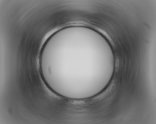 X0000113261466200909101240