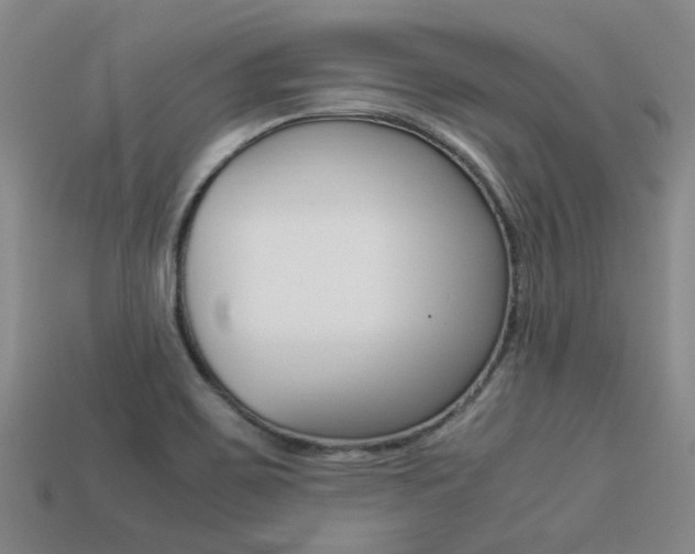 X0000113261467200909101240