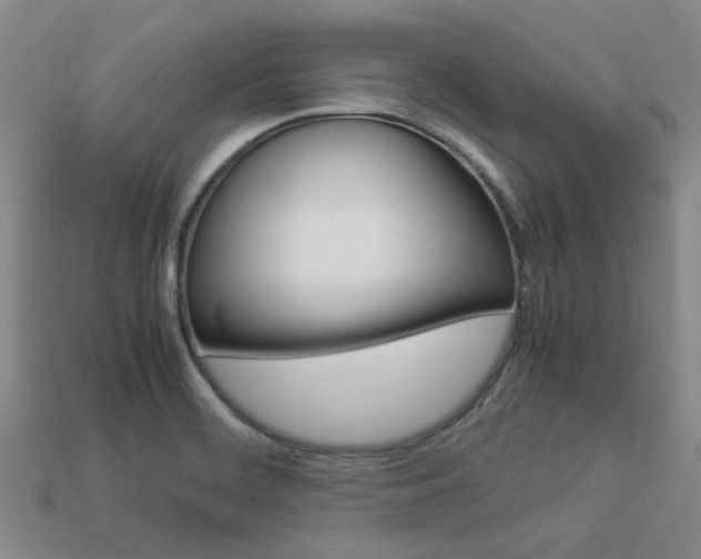 X0000113261468200909101240