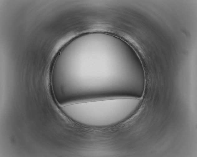 X0000113261469200909101240