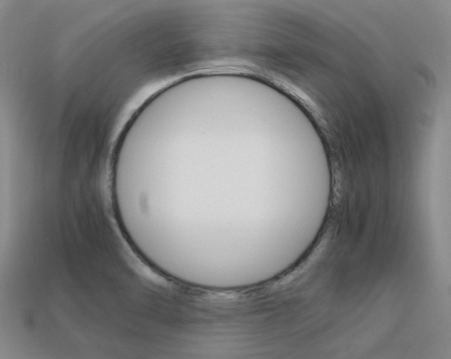 X0000113261470200909101240