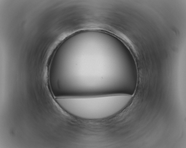 X0000113261472200909101240