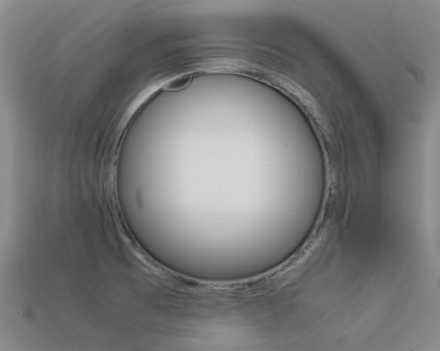 X0000113261473200909101240