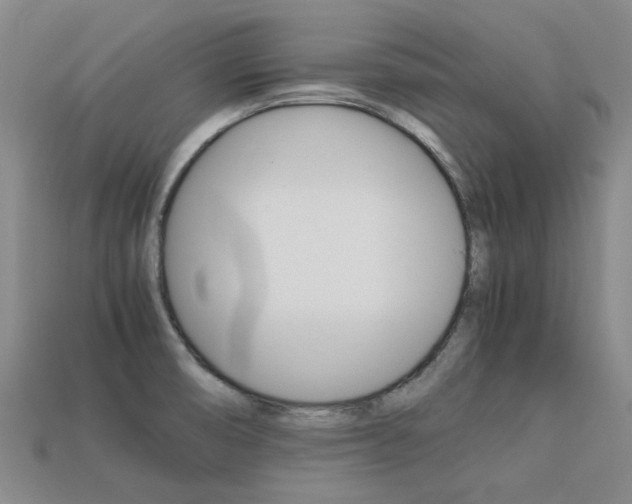 X0000113261474200909101240