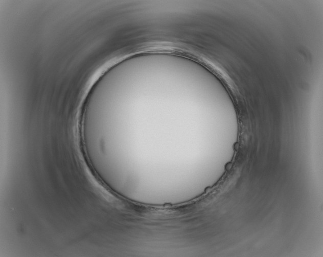 X0000113261475200909101240
