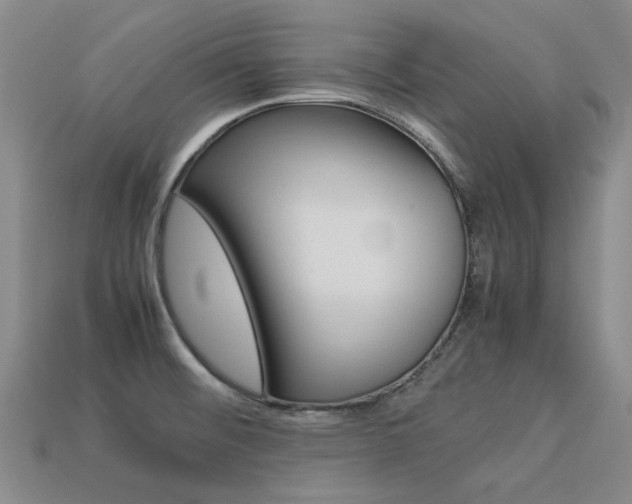 X0000113261476200909101240