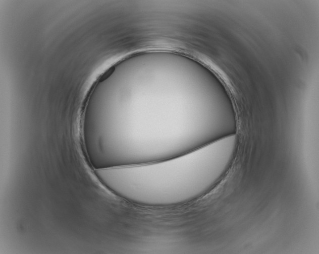 X0000113261477200909101239
