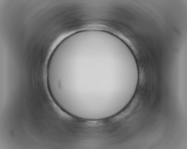X0000113261478200909101239