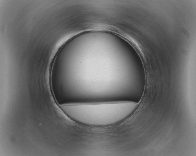 X0000113261480200909101239