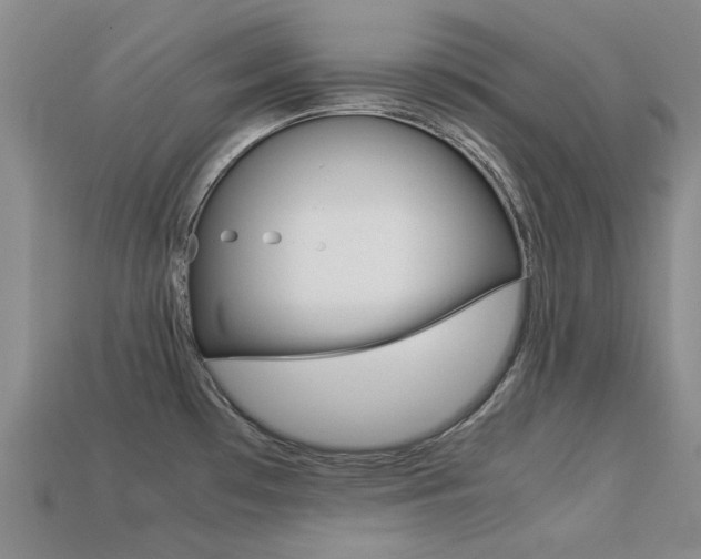 X0000113261481200909101239