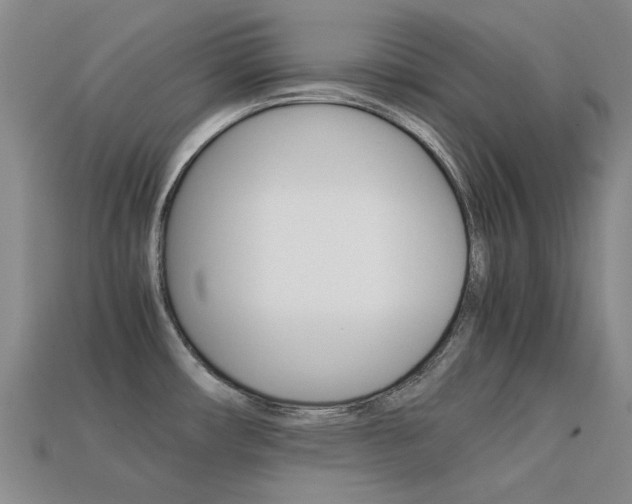 X0000113261482200909101239