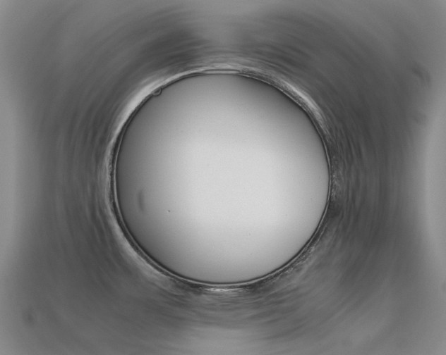 X0000113261483200909101239
