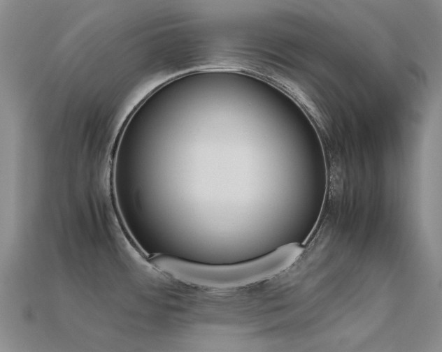 X0000113261484200909101239