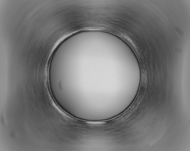 X0000113261487200909101239
