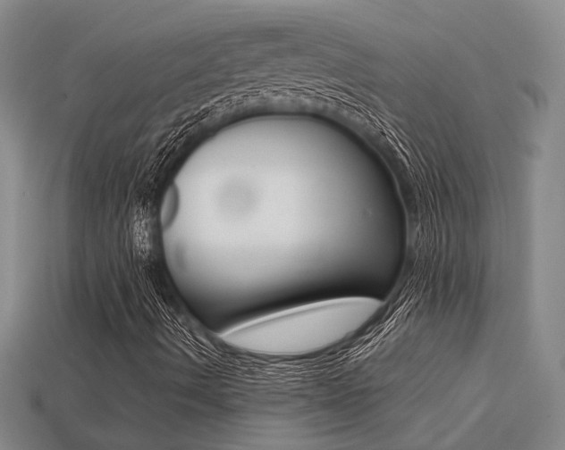 X0000113261490200909101239