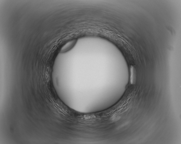 X0000113261491200909101239