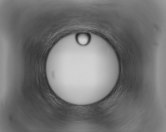 X0000113261492200909101239