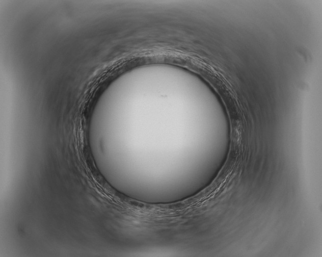X0000113261493200909101239
