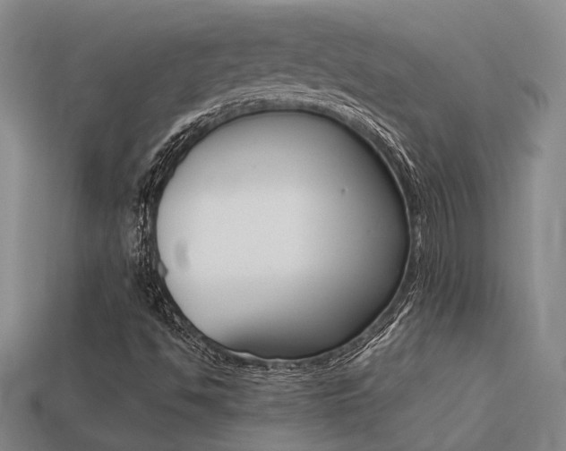 X0000113261494200909101239