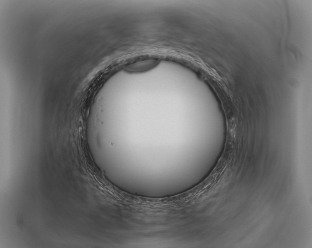 X0000113261495200909101239