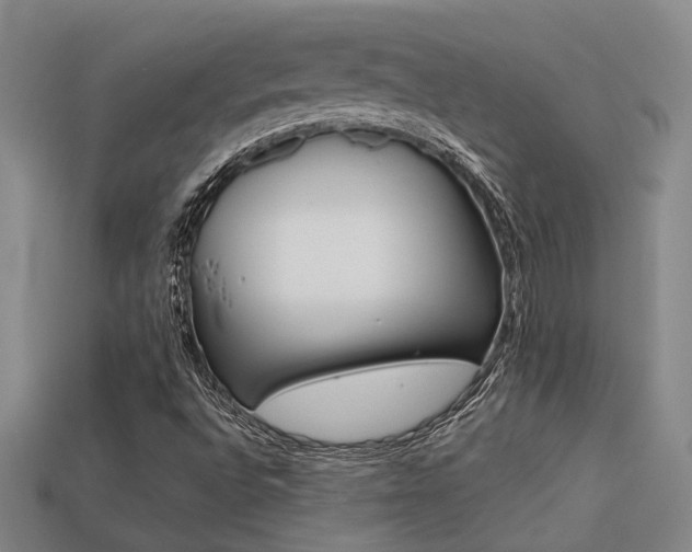 X0000113261496200909101239