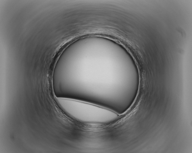 X0000113261497200909101239