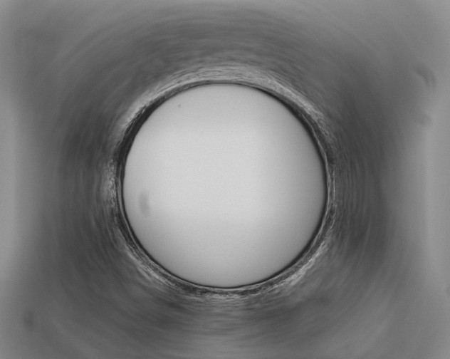 X0000113261498200909101239