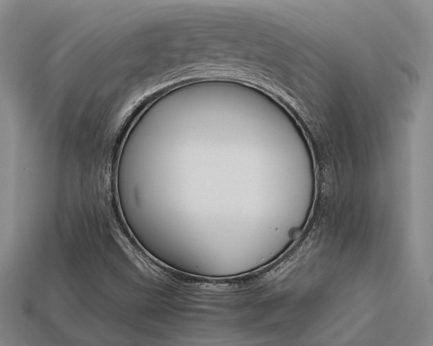 X0000113261499200909101239