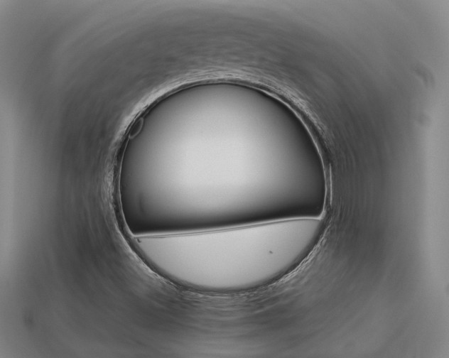 X0000113261500200909101239