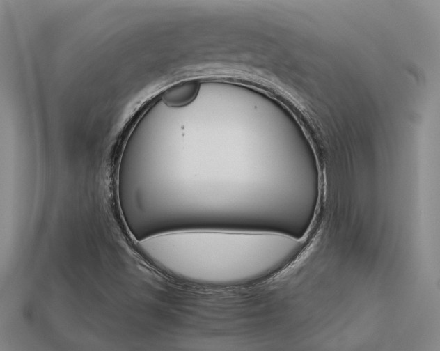 X0000113261501200909101239