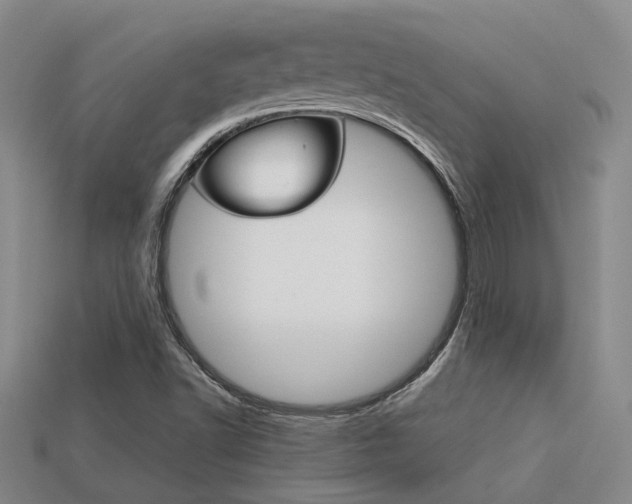 X0000113261502200909101239
