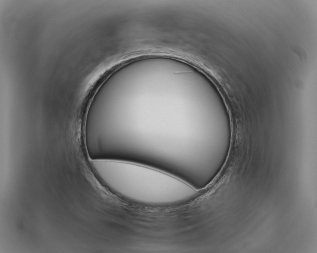 X0000113261503200909101239