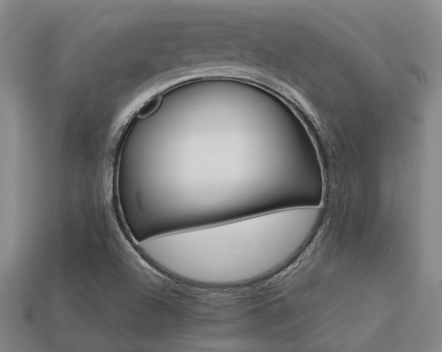 X0000113261504200909101239