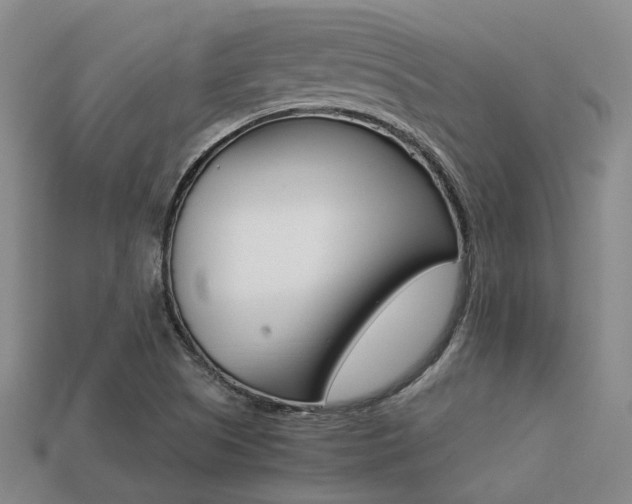 X0000113261505200909101239