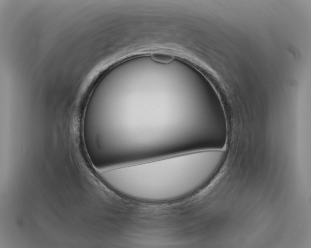 X0000113261506200909101239