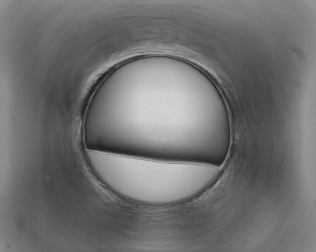 X0000113261507200909101239