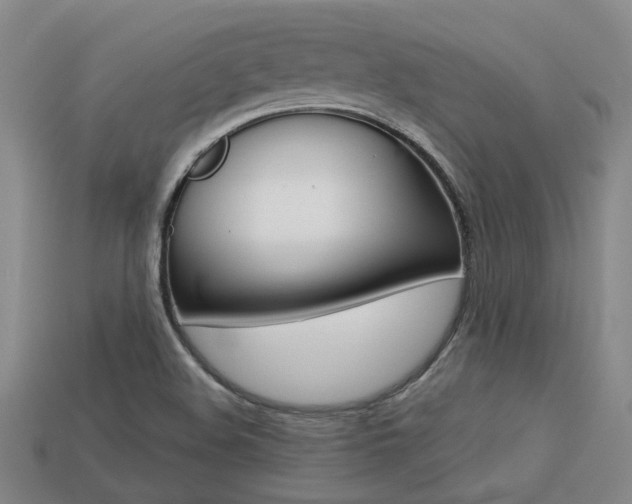 X0000113261508200909101239