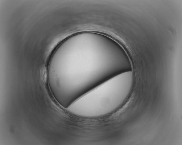X0000113261509200909101239