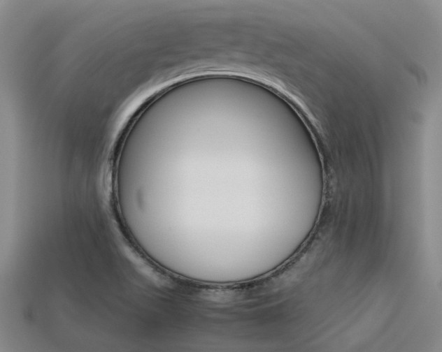 X0000113261511200909101239