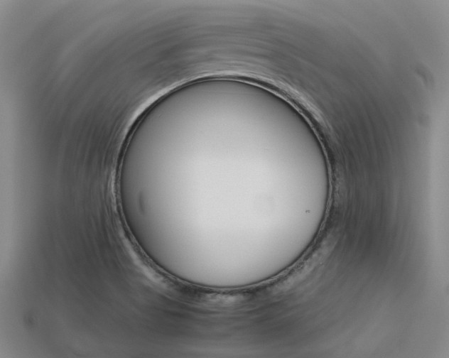 X0000113261513200909101239
