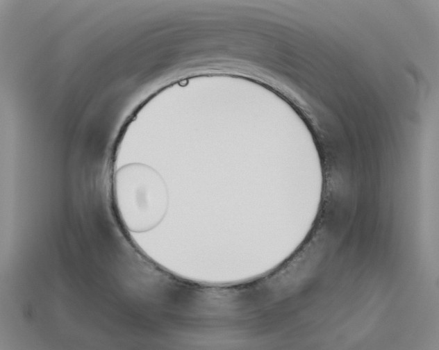 X0000113261514200909101239