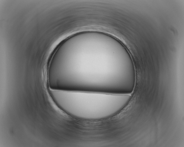 X0000113261515200909101239
