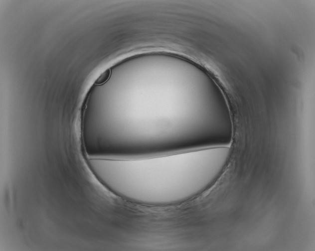 X0000113261516200909101239