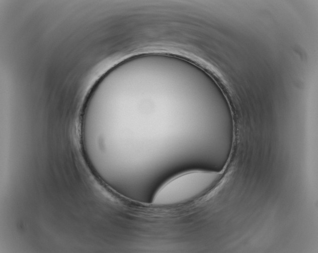 X0000113261517200909101239