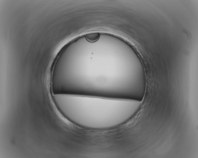 X0000113261519200909101239