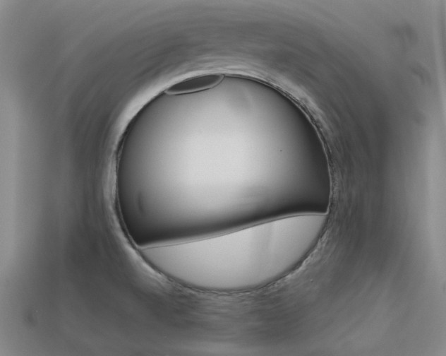 X0000113261520200909101239