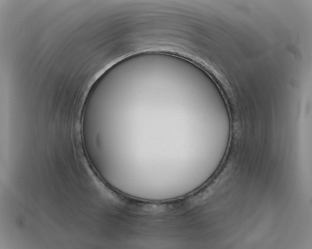 X0000113261521200909101239