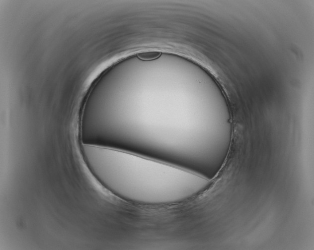 X0000113261523200909101239