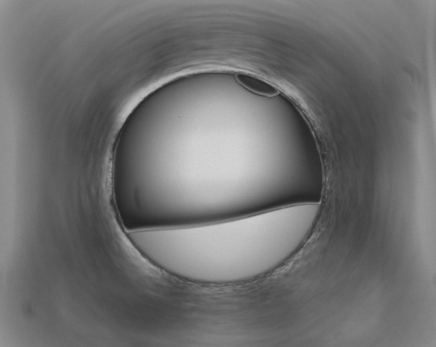 X0000113261524200909101239