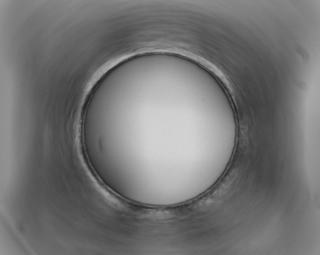 X0000113261525200909101239
